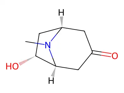 (+-)-6beta-Hydroxytropinone structure