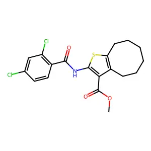 methyl 2-[(2,4-dichlorobenzoyl)amino]-4,5,6,7,8,9-hexahydrocycloocta[b]thiophene-3-carboxylate structure