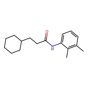 3-己基-N-(2,3-二甲基苯基)丙酰胺 structure
