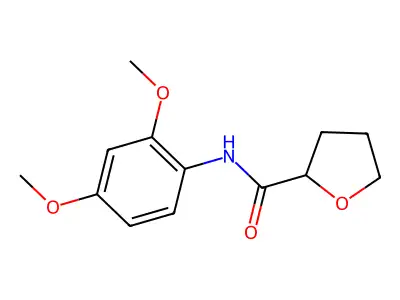 N-(2,4-dimethoxyphenyl)oxolane-2-carboxamide structure