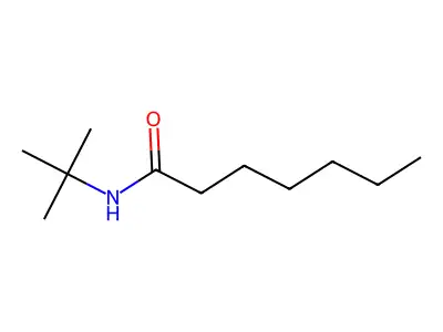 N-(tert-Butyl)heptanamide structure