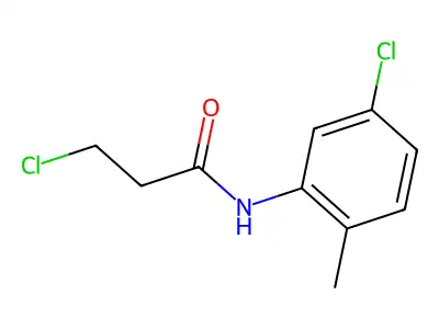 3-chloro-N-(5-chloro-2-methylphenyl)propanamide structure