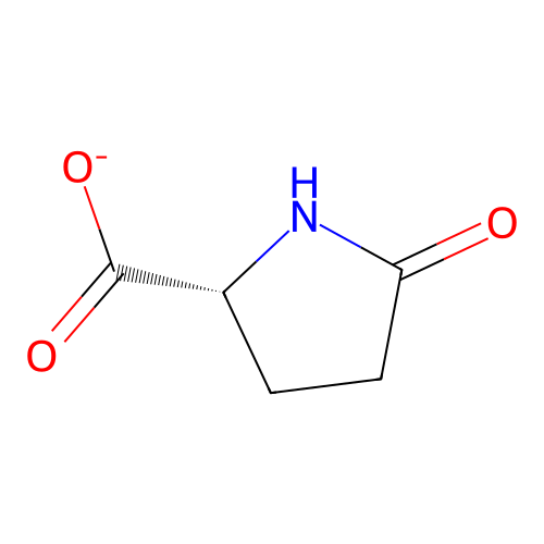 5-oxo-D-prolinate structure