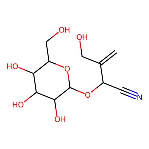 (2S)-2-(beta-D-Glucopyranosyloxy)-3-(hydroxymethyl)-3-butenenitrile structure