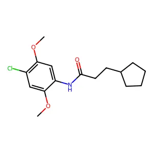N-(4-chloro-2,5-dimethoxyphenyl)-3-cyclopentylpropanamide structure