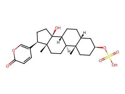 14-Hydroxy-3-(sulfooxy)bufa-20,22-dienolide structure