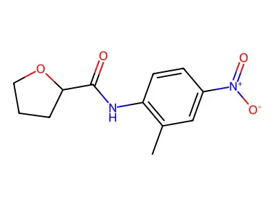 N-(2-methyl-4-nitrophenyl)oxolane-2-carboxamide structure