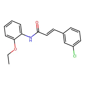 3-(3-chlorophenyl)-N-(2-ethoxyphenyl)prop-2-enamide structure