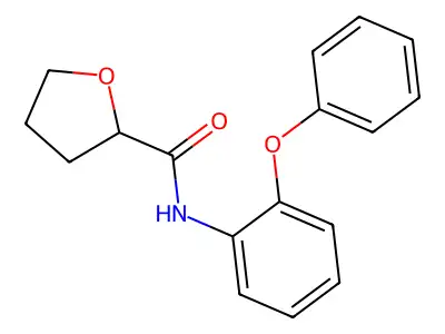 N-(2-phenoxyphenyl)oxolane-2-carboxamide structure