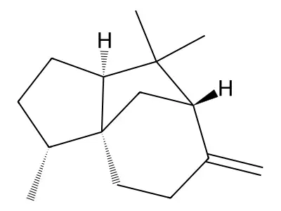 (+)-beta-Funebrene structure