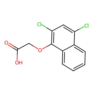N'-[(E)-(6-nitro-1,3-benzodioxol-5-yl)methylidene]-2-(2-nitrophenoxy)acetohydrazide structure