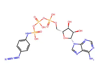 ATP gamma-p-azidoanilide structure