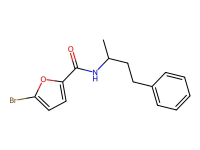 5-bromo-N-(4-phenylbutan-2-yl)furan-2-carboxamide structure