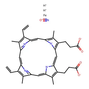 Nitrosoheme structure