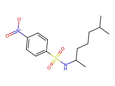 N-(6-methylheptan-2-yl)-4-nitrobenzenesulfonamide structure