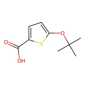 2-Thiophenecarboxylic acid, 5-(1,1-dimethylethoxy)- structure