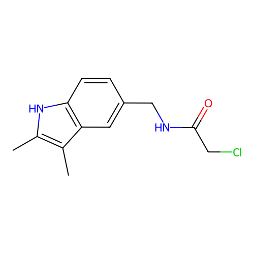 2-Chloro-N-(2,3-dimethyl-1H-indol-5-ylmethyl)-acetamide structure
