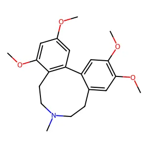 Protostephanine structure