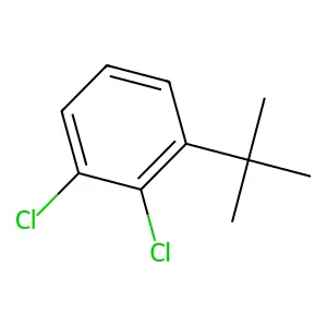 1-tert-Butyl-2,3-dichlorobenzene structure