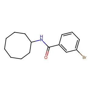 3-bromo-N-cyclooctylbenzamide structure