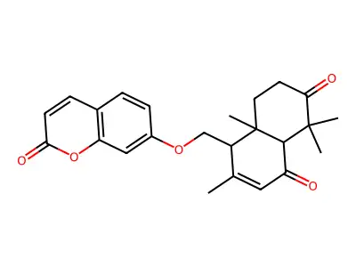 Conferdione structure