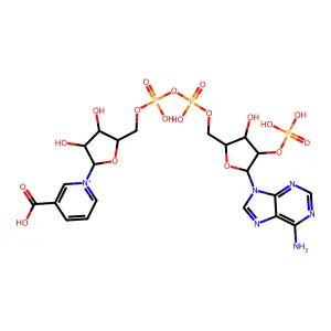 菸酸腺嘌呤二核苷酸磷酸 structure