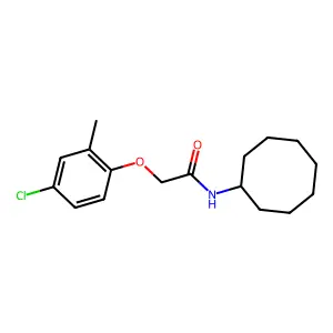 2-(4-chloro-2-methylphenoxy)-N-cyclooctylacetamide structure