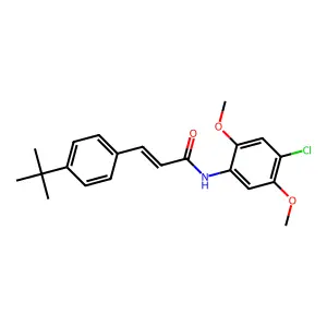 (E)-3-(4-tert-butylphenyl)-N-(4-chloro-2,5-dimethoxyphenyl)prop-2-enamide structure