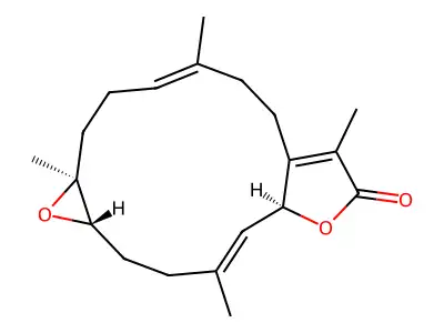 Sarcophine structure