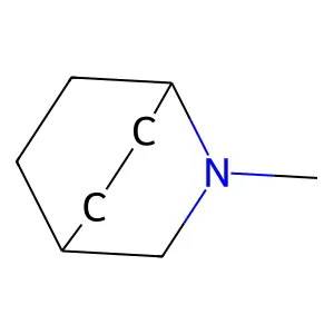 2-Azabicyclo(2.2.2)octane, 2-methyl- structure