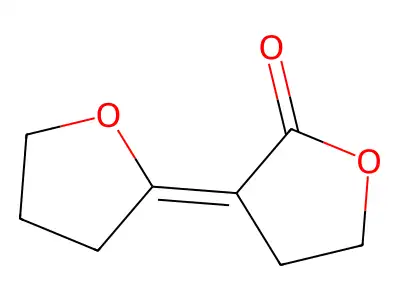 3-(Oxolan-2-ylidene)oxolan-2-one structure