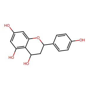 Apiforol structure