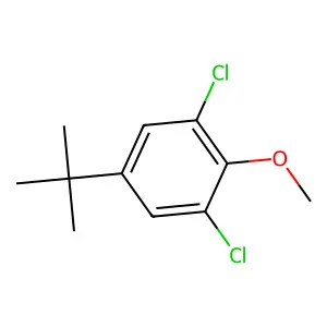 Benzene, 1,3-dichloro-5-(1,1-dimethylethyl)-2-methoxy- structure