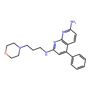 2-N-(3-morpholin-4-ylpropyl)-4-phenyl-1,8-naphthyridine-2,7-diamine structure