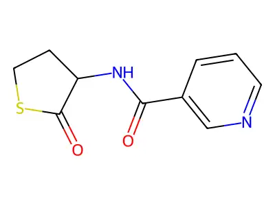 高半胱氨酸硫内酯烟酰胺 structure