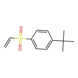 1-Tert-butyl-4-(ethenesulfonyl)benzene structure