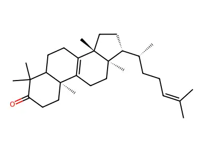 N-butyl-5-(4-tert-butylphenoxy)-1-pentanamine structure
