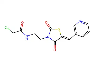2-Chloro-N-(2-(2,4-dioxo-5-(pyridin-3-ylmethylene)thiazolidin-3-yl)ethyl)acetamide structure