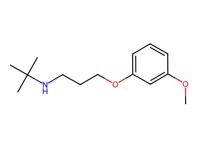 N-[3-(3-methoxyphenoxy)propyl]-2-methylpropan-2-amine structure