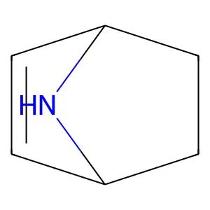 7-Azanorbornene structure