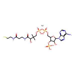 17-n-Hexadecyltetratriacontane structure