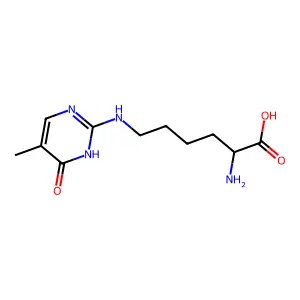 2-amino-6-[(5-methyl-6-oxo-1H-pyrimidin-2-yl)amino]hexanoic acid structure
