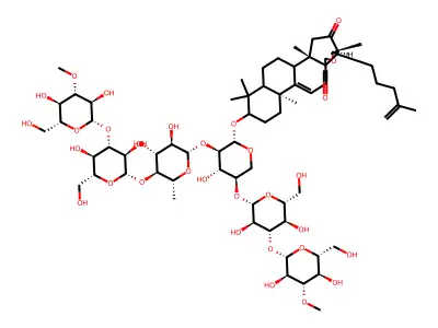 Holotoxin A structure