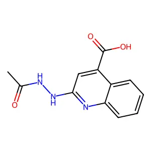 2-(2-乙酰肼基)-4-喹啉甲酸 structure