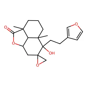 Leonotinin structure