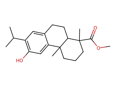 N-Methyl-2-oxopropanamide structure