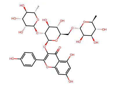 Clitorin structure