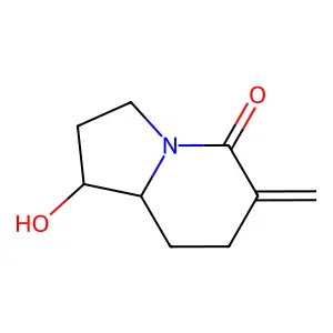 1-Hydroxy-6-methylidene-1,2,3,7,8,8a-hexahydroindolizin-5-one structure