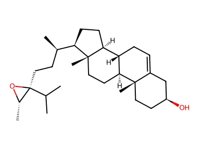 5-(2,3-Dichlorophenyl)furan-2-carboxylic acid structure