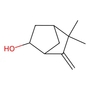 6-Camphenol structure